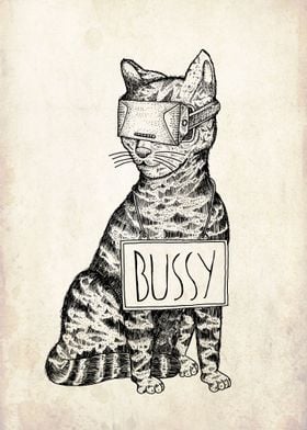 Busy Cat
