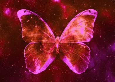 Space Butterfly 11