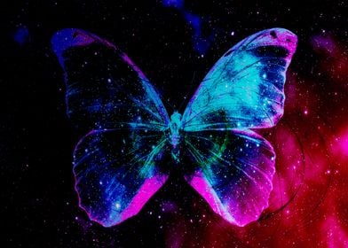 Space Butterfly 4