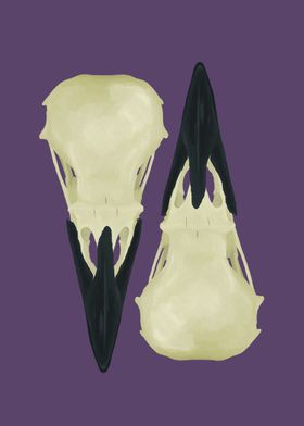 Raven Skulls