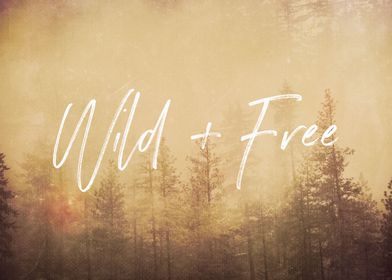 Wild And Free - Mountain Forest Adventure