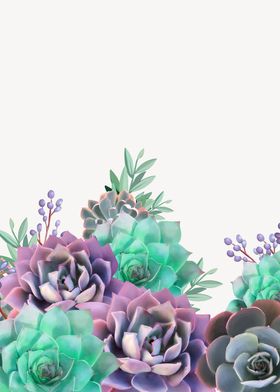 Succulents in purple and green