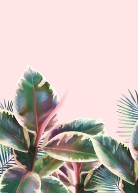 Tropical leaves on pink