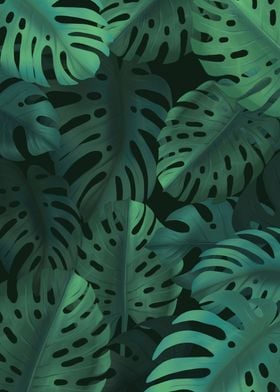 Tropical leaves on dark background