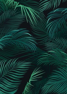 Palm leaves on dark background