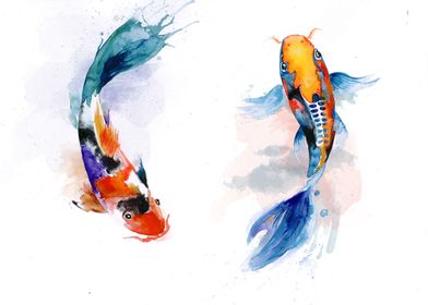 Koi fish watercolor drawing
