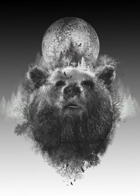 forest bear 