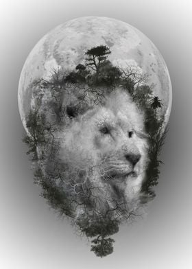 forest lion