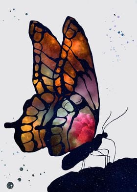 Butterfly nebula