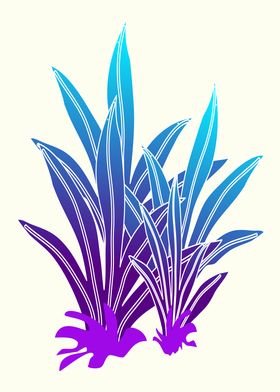 Tropic Violet