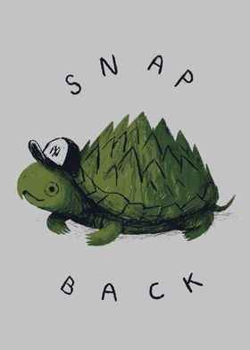 snap back turtle