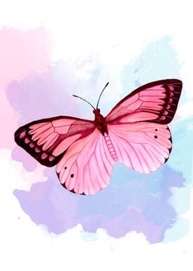 Strawberry Fluff butterfly