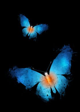 Butterflies Collection • 3