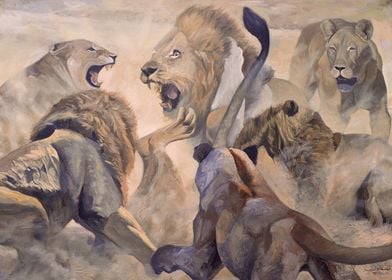 Fighting Lions
