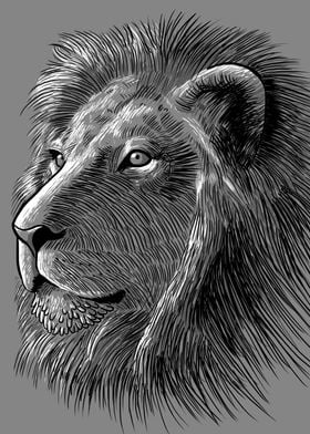 Sketch Lion