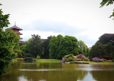 Japanese landscape - Royal Greenhouse of Brussels