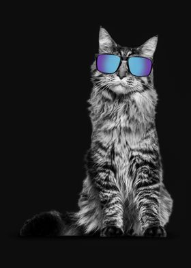 Cat and Glasses