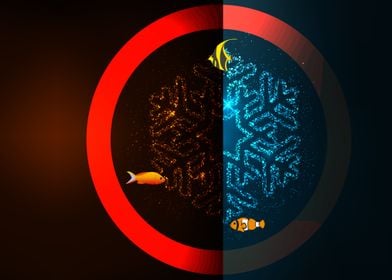 red circle and fish 