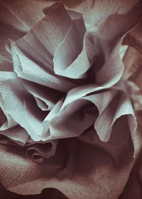 Paper rose