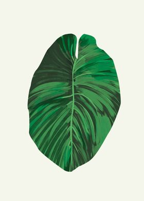 Tropical Leaf 