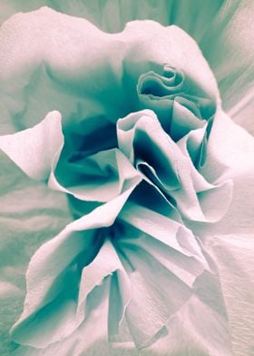 Paper rose