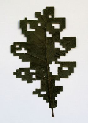 Pixel cut oak leaf