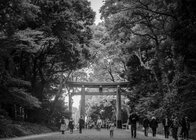 Meiji Shrine 