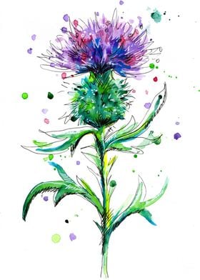 Watercolor Thistle