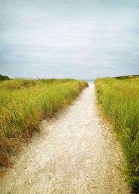 Trail to the Beach, Massachusetts