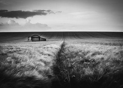 Lonely Barn