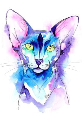 Siamese Cat Sketch