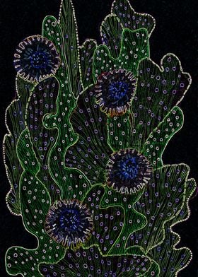 Blooming cactus black neon