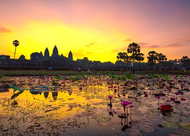 Temple of Angkor Wat 