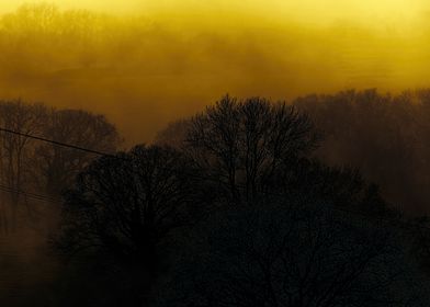 Devon Fog 11