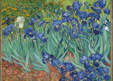 Irises by van Gogh