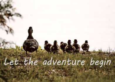 Cute Duckling Wanderlust:  Let The Adventure Begin