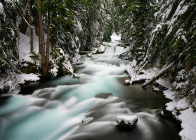 The Wild McKenzie River - Pacific Northwest Winter