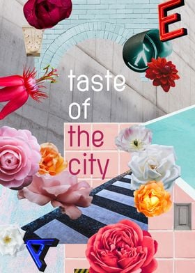 taste of the city