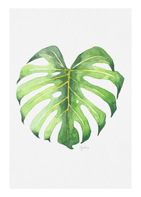 Botanicals: Monstera Leaf