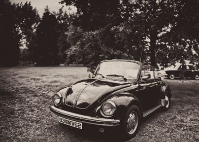 Black Volks Beetle