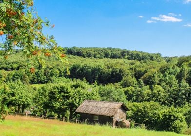 Isolated House