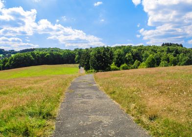 Summer Landscape