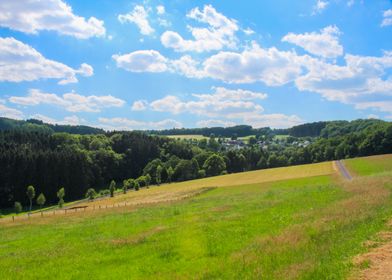 Landscape - Summer