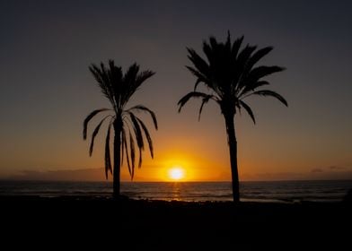 Tenerife sunset