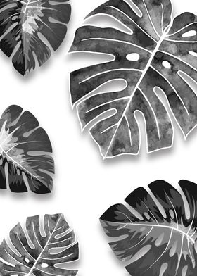 Leaves Black and White