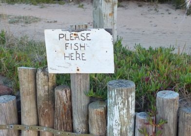 Please Fish Here