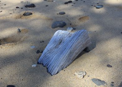 Washed up Wood on Beach