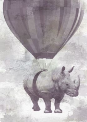 Rhino on Clouds