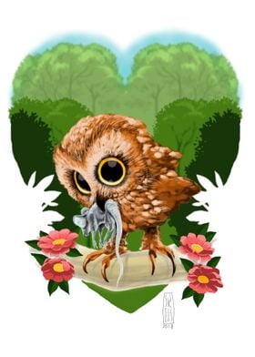 Owl 