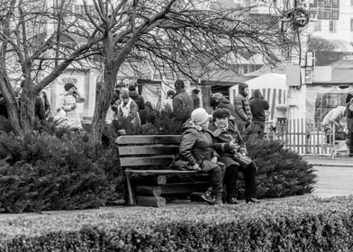 Women chatting in the park